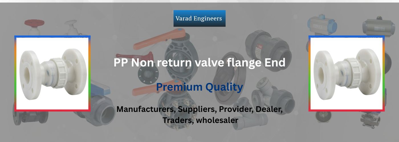 PP Non Return Valve Flange End