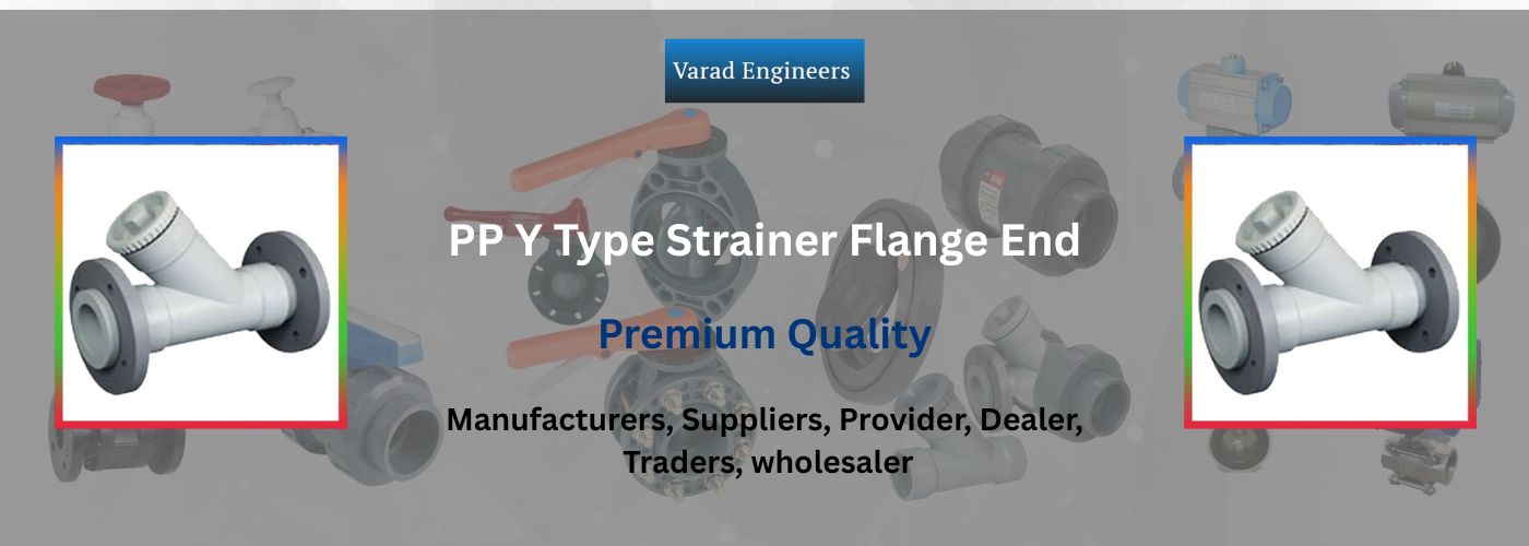 PP Y Type Strainer Flange End